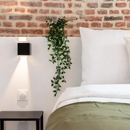 Apartment Old - Lovely Typical Apartment! Lille